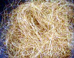 Coir fibre