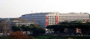 FAO Head office