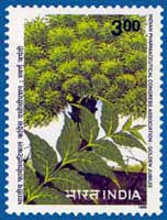Stamp on Neem tree